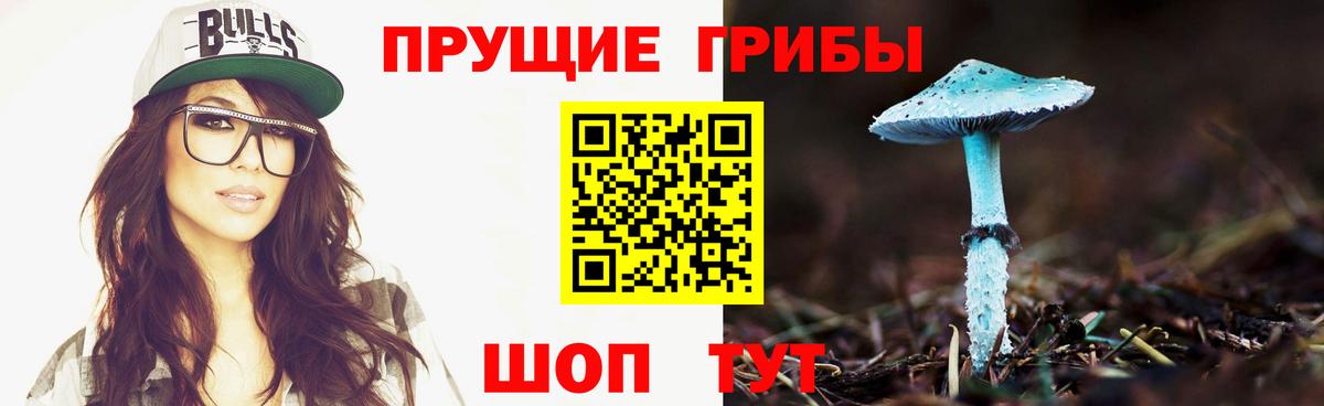Щёкино  Псилоцибиновые грибы прущие грибы  Вход с VPN 